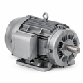 Motor Trifásico
