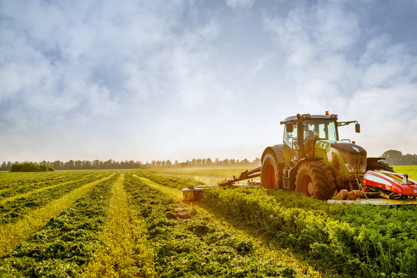 Agroindustria