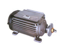 Motor Eléctrico Industrial de Uso General